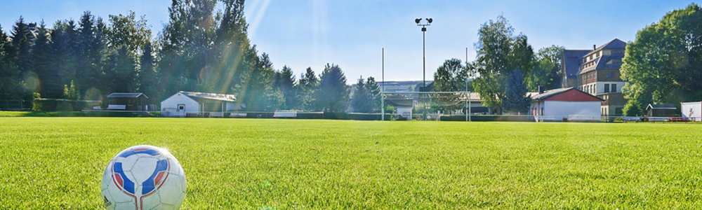 Stadion-Loessnitz